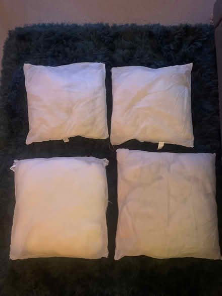Photo of free Cushion inserts (SW11) #1