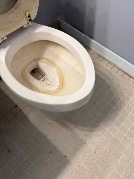 Photo of free Vanity, door, & toilet (20175) #4