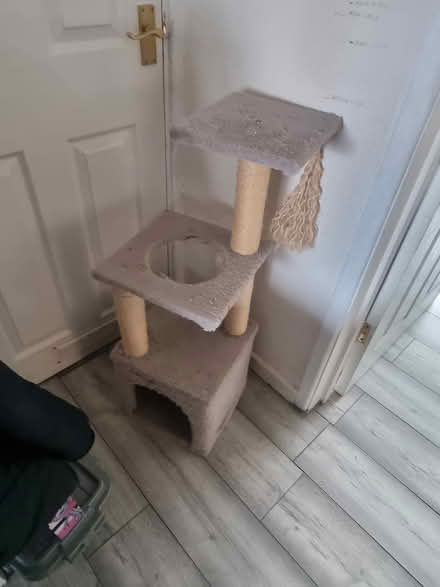 Photo of free Cat Tree (Leominster) #1