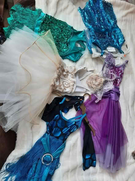Photo of free Dance costumes #2 (Near Carlock) #1