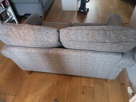 Photo of free to good home (East Kilbride) #3