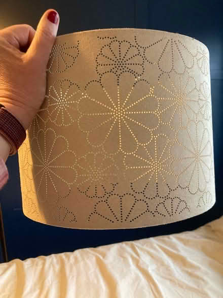 Photo of free Ceiling lamp shade (Shelf HX3) #2