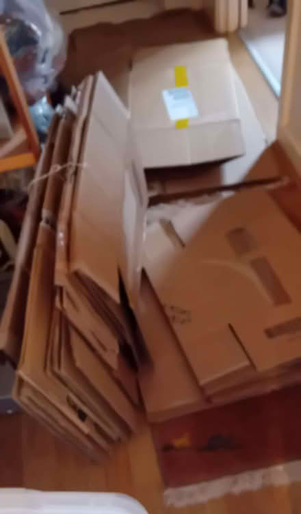Photo of free Cardboard boxes (Stinchcombe GL11) #1