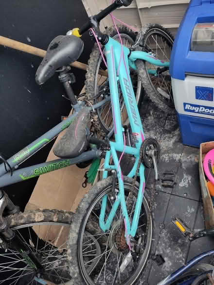 Photo of free Kids Apollo Switch bike (Halfords) (Boxmoor HP1) #3