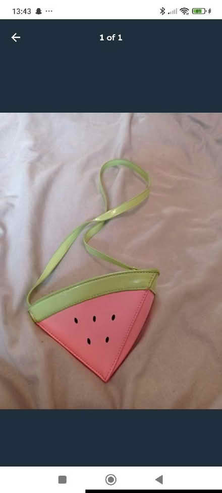Photo of free Watermelon bag (Gorebridge EH23) #1