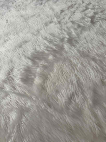 Photo of free Cloth/ backdrop (Amersham on the hill HP6) #2