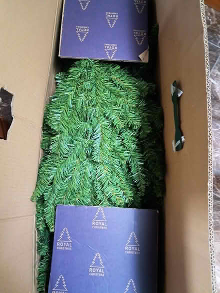 Photo of free Christmas tree (Greystones upper) #2