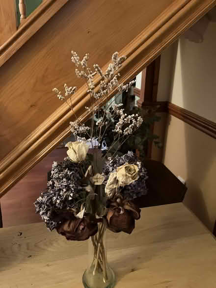 Photo of free Dried flowers (Goffs Oak EN7) #2