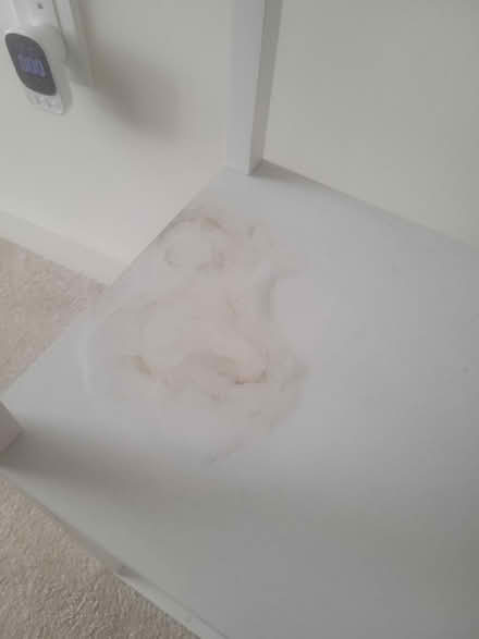 Photo of free Shelf Lamp (North Hollywood Arts District) #2