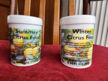 Photo of free Citrus feed (Putnoe MK41) #1