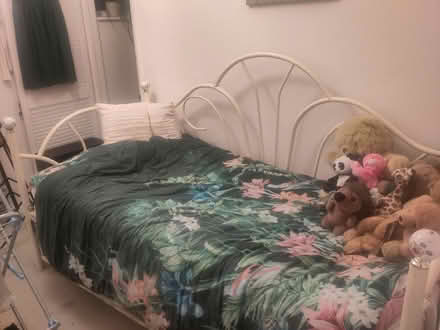 Photo of free Single bed or 2 single beds (Boxmoor HP1) #1