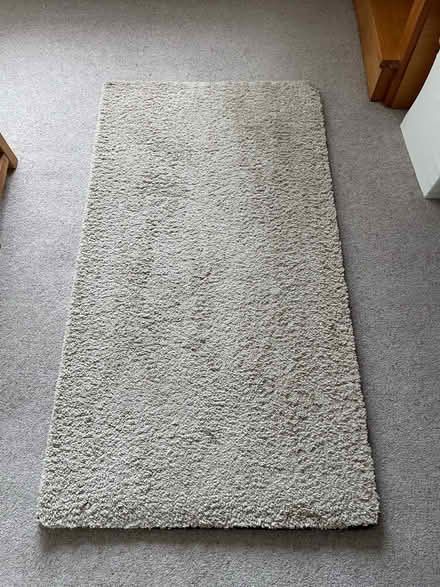 Photo of free Rug (Liberton EH16) #1
