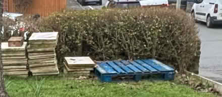 Photo of free Blue pallet and 30cm x 30cm (Little Herberts GL53) #1