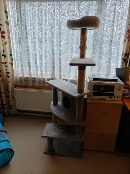 Photo of free Cat Tower (Barton OX3) #1