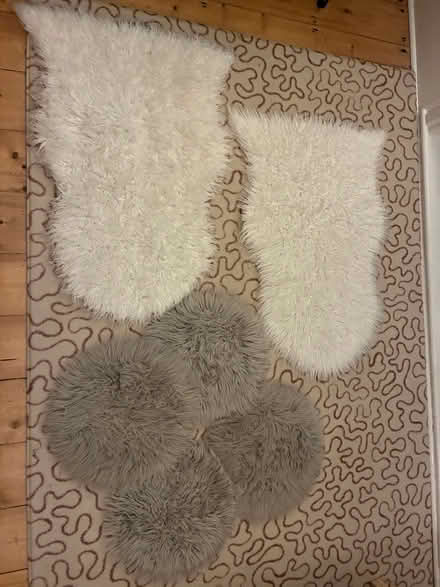 Photo of free Faux fur items (Penylan CF23) #1