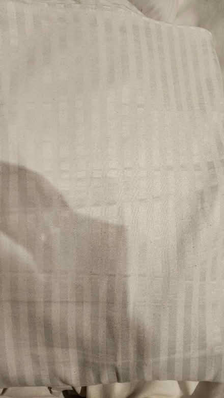 Photo of free Mattress cover king size (Swindon SN1) #1