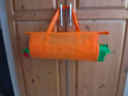 Photo of free 3 Shopping Trolley Bags (Bexhill TN39) #4