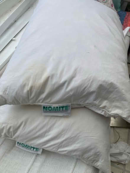 Photo of free 4 feather pillows for reuse (Wooburn Green, HP10) #1