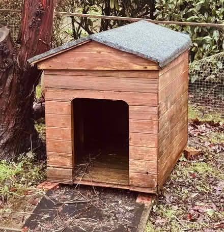 Photo of free Dog kennel (Ballykealey) #1