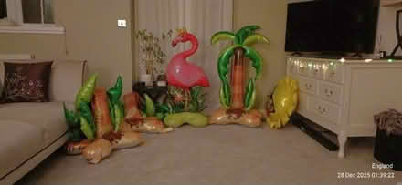 Photo of free Inflated Balloons (tropical theme) (B64, Cradley Heath) #1