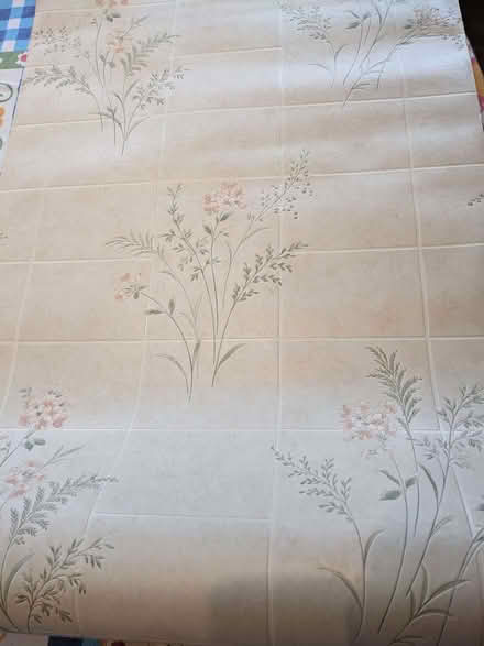 Photo of free Washable Wallpaper (Caversham Park RG4) #1
