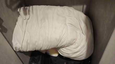 Photo of free Queen size duvet (Swindon SN1) #1