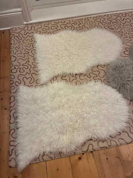 Photo of free Faux fur items (Penylan CF23) #2