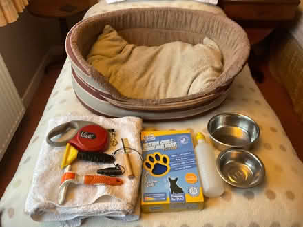 Photo of free Dog and accessories (Bishop's Castle SY9) #1