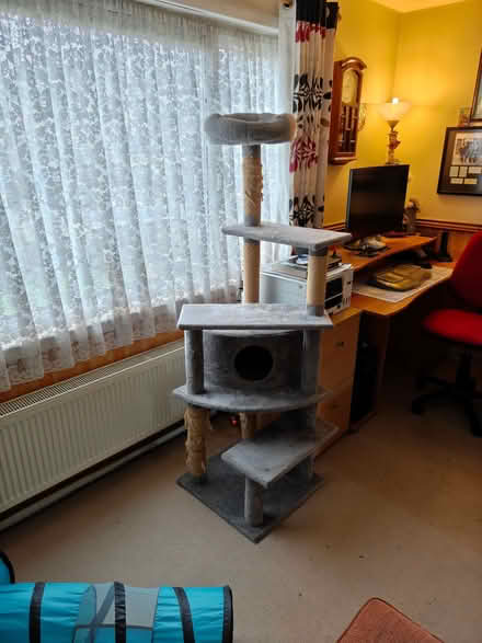 Photo of free Cat Tower (Barton OX3) #2