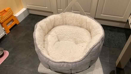 Photo of free Dog Bed (Chelmsford CM1) #1