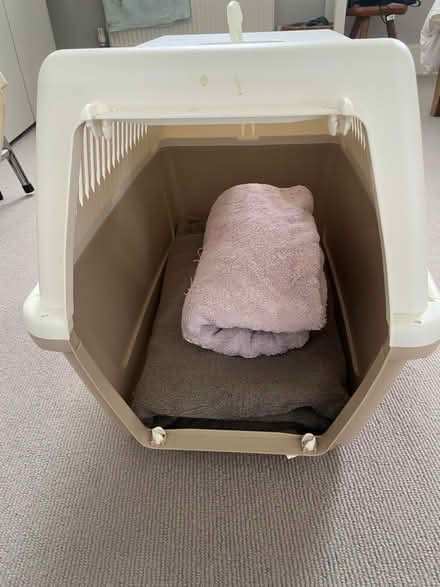 Photo of free Pet carrier (Chiswick W4) #3
