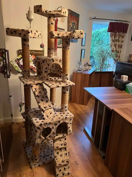 Photo of free Tall cat tower (Witherslack LA11) #1