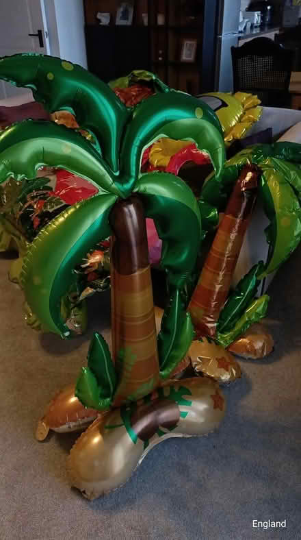 Photo of free Inflated Balloons (tropical theme) (B64, Cradley Heath) #2