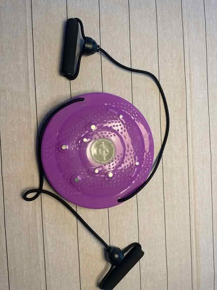 Photo of free Waist twisting disc (M20 didsbury) #1