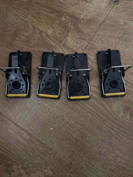 Photo of free 4× unused mouse traps (Brixton SW9) #1