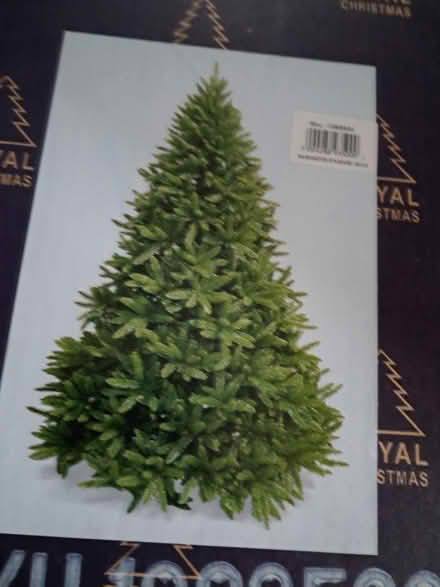 Photo of free Christmas tree (Greystones upper) #1