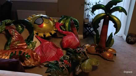 Photo of free Inflated Balloons (tropical theme) (B64, Cradley Heath) #4