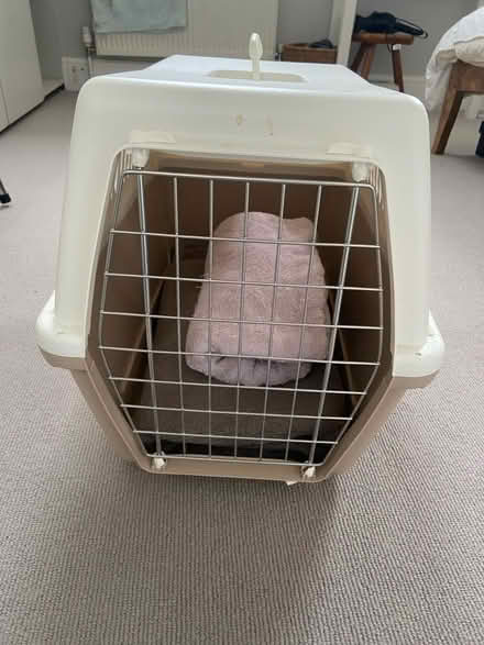 Photo of free Pet carrier (Chiswick W4) #1