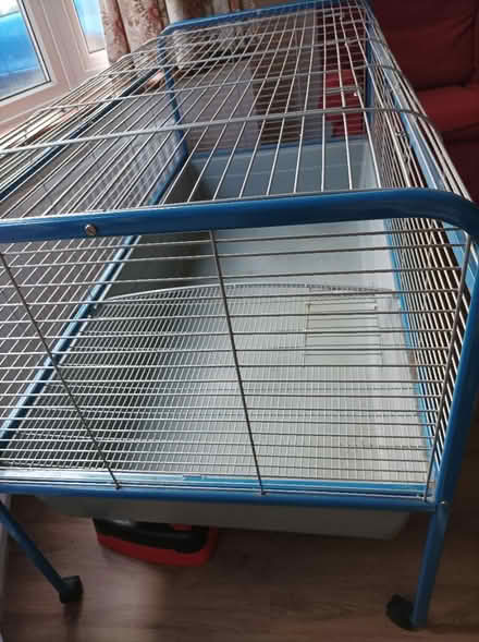 Photo of free Indoor guinea pig cage (Ipswich IP3) #2