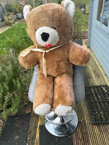 Photo of free Giant Teddy Bear (ME9) #1