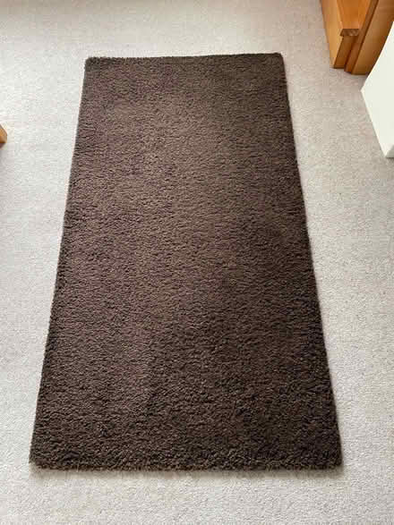 Photo of free Rug (Liberton EH16) #1