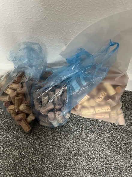Photo of free Corks (Colyford EX24) #1