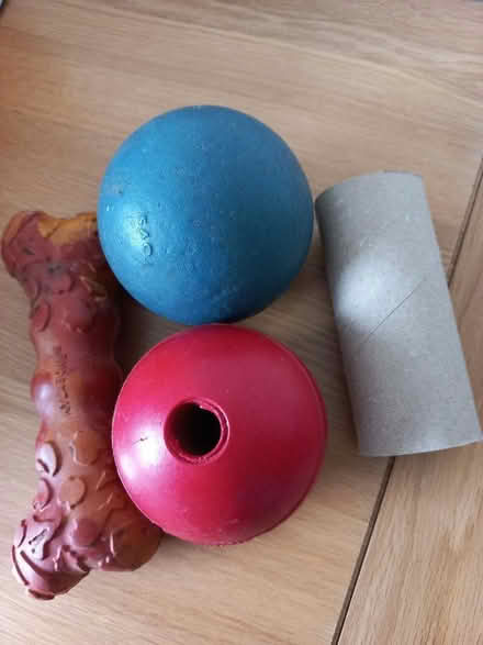 Photo of free Dog toys for big dog (Bathford) #1
