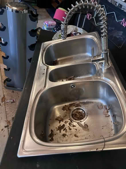 Photo of free St steel sink with tap (Lambs Green RH12) #2