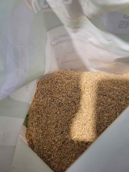 Photo of free Cat litter -clumping (Manor park) #2