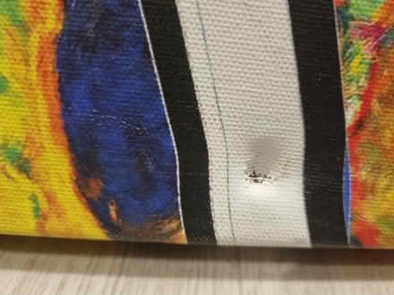 Photo of free Canvas (BN3) #2