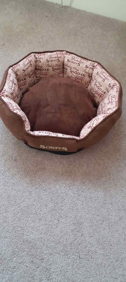 Photo of free Comfy cat bed (Thrupp GL5) #1