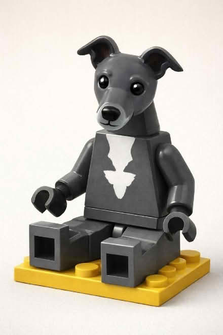 Photo of Large Fabric Dog Bed (Bewdley DY12) #1