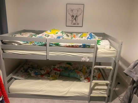 Photo of free Bed only (mattress not included) (Wheatley Hill DH6) #1