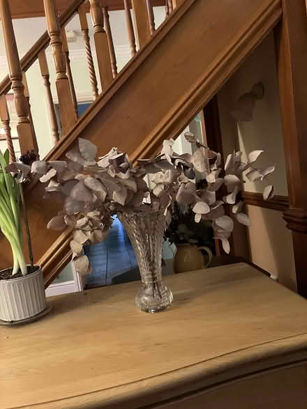 Photo of free Dried flowers (Goffs Oak EN7) #3